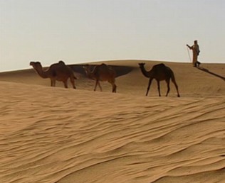 Sahara w Libii bez nawadniania pustyni.